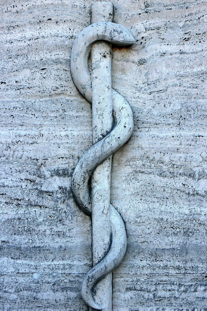 Bild von Dr. Johann Lederer